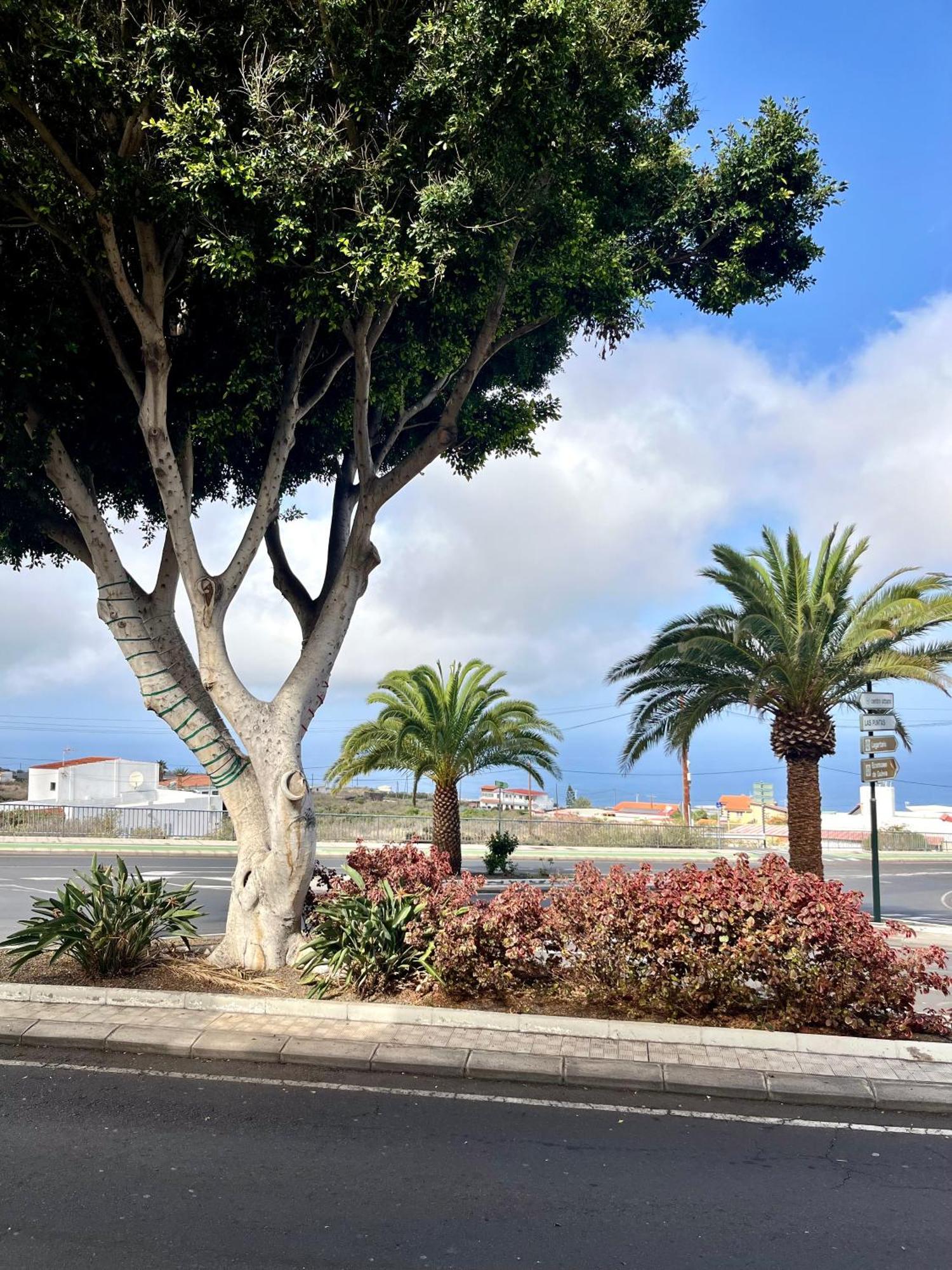 Apartamentos Edalmar Frontera Bagian luar foto